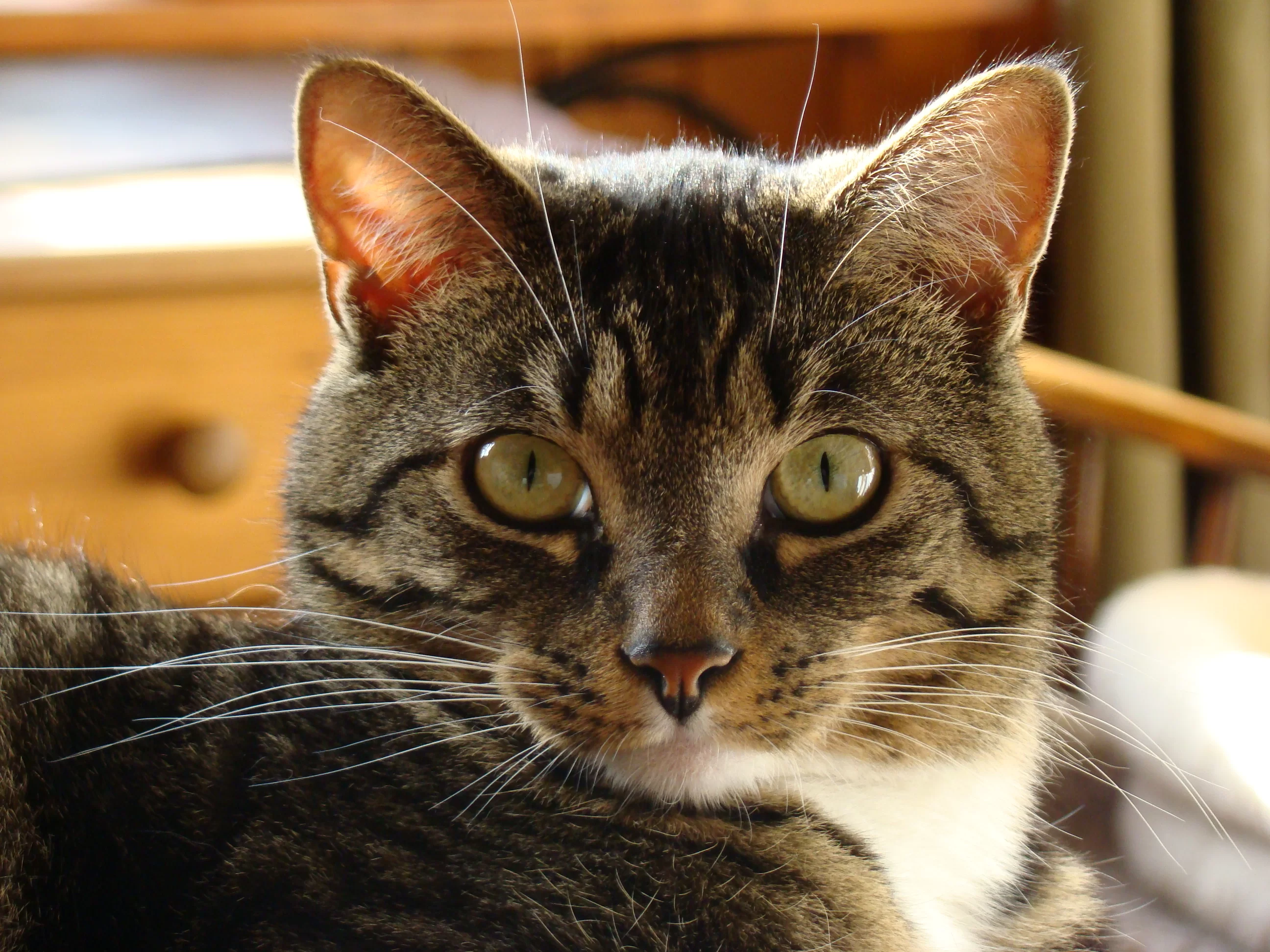 DSC00898.webp
