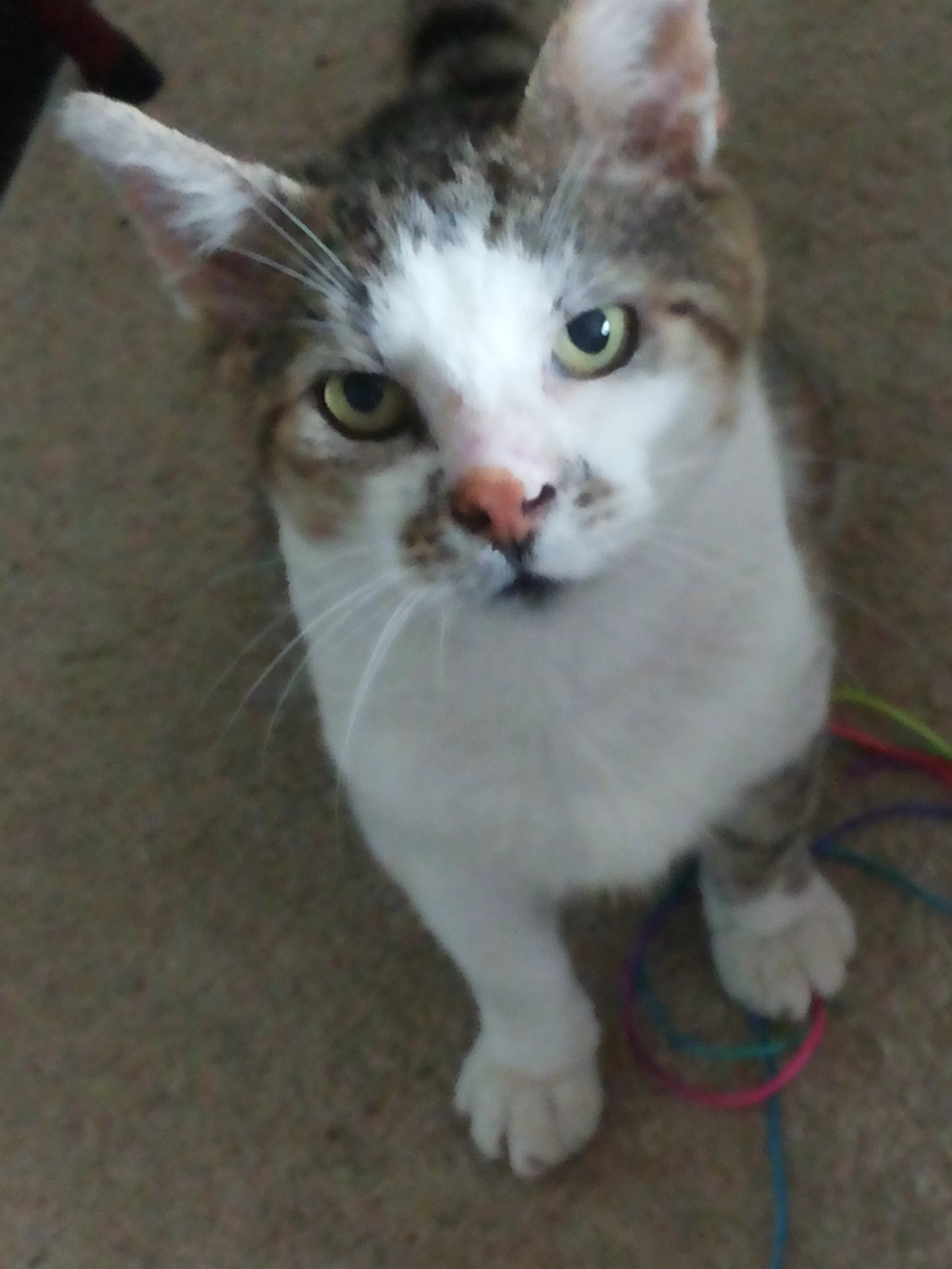 2015-08-27 11.22.14.webp