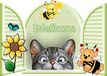 02+Kat+raam+Welkom.gif