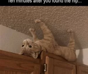 10_Minutes_Into_Nip_s.webp