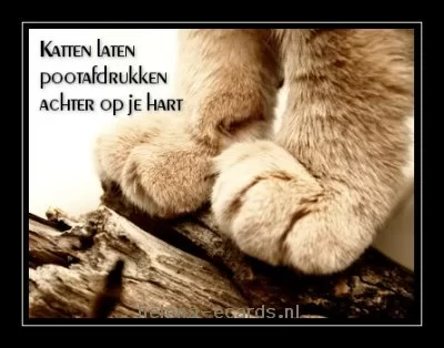 1294380167.webp