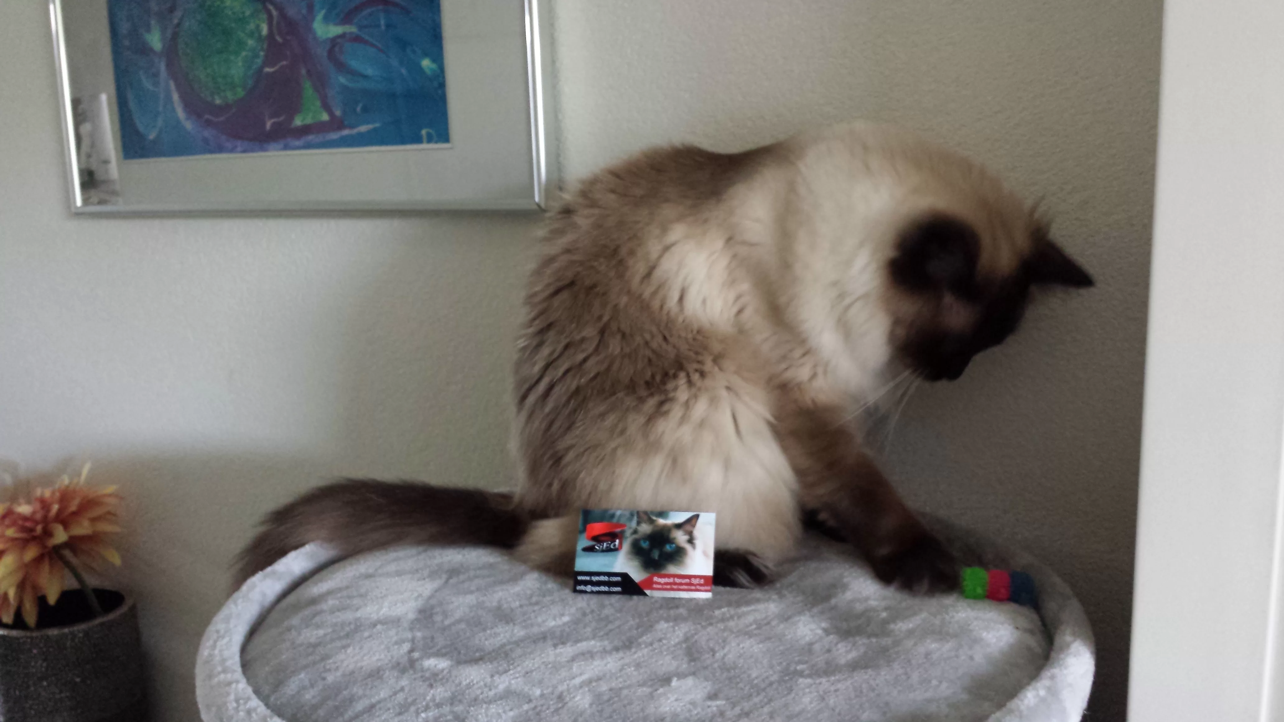 2014-08-23 10.24.02.webp