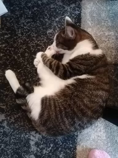 28836.jpg