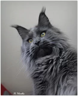 6.webp