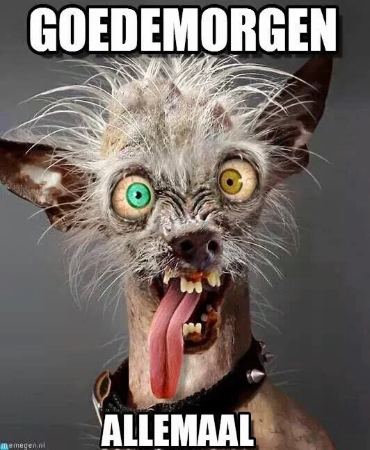 696eb008bdc18128fa54151c4b7e45dd.webp