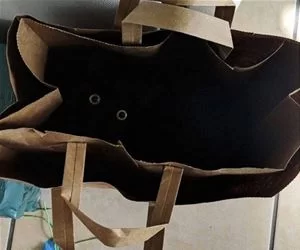 A_Bag_Of_Cat6972_s.webp
