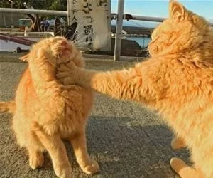 A_Big_Slap_s.webp