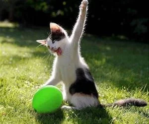 A_Cat_Killing_A_Balloon_s.webp