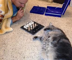 A_Chess_Match_s.webp