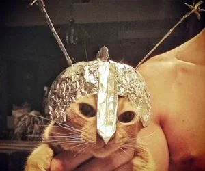 A_Knight_s.webp