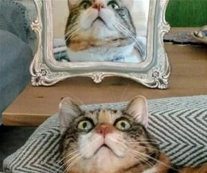 A_Picture_Of_Me_s.webp