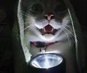 A_Scary_Story3433_s.webp