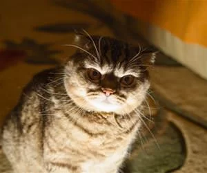 A_Scary_Story_s.webp