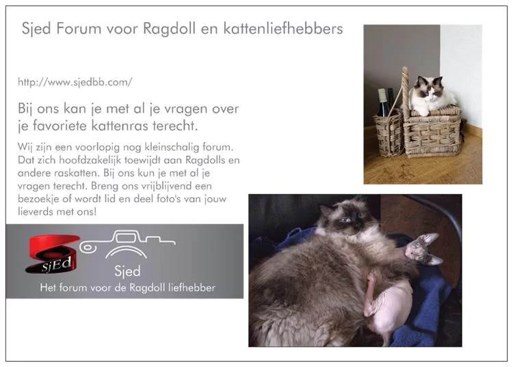 achterzijde flyer.webp