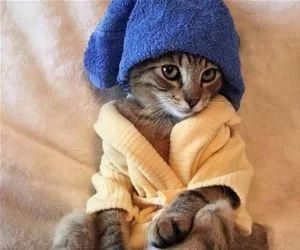 After_My_Bath7715_s.webp
