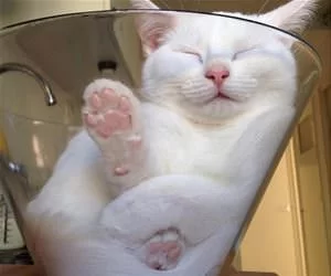 Almost_In_Right_s.webp