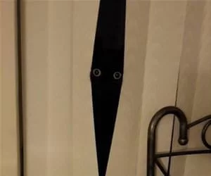 Always_Watching_s.webp