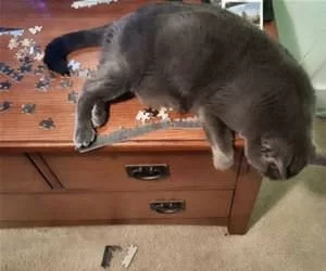 And_Puzzle_Time_Is_Over_s.webp