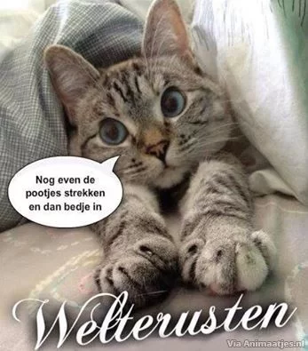 animaatjes-welterusten 1.webp