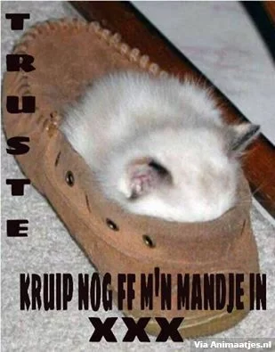 animaatjes-welterusten 11.webp