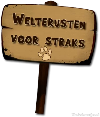 animaatjes-welterusten 15.webp