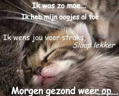 animaatjes-welterusten 4.webp