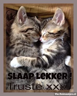 animaatjes-welterusten 6.webp