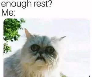 Are_You_Getting_Enough_Sleep_s.webp