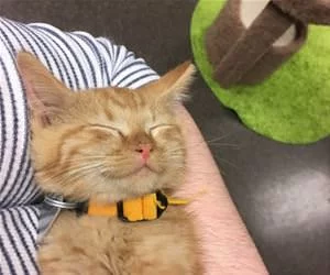 Asleep_Here_s.webp