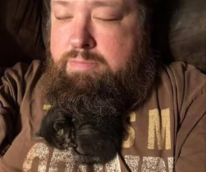Beard_Kitty_s.webp