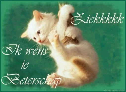 beterschap 2.webp