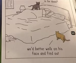Better_Walk_On_His_Face_s.webp