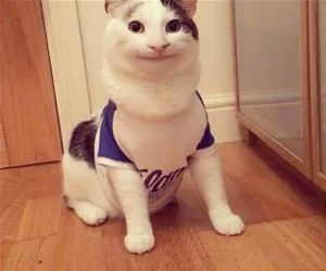 Big_Smiles7146_s.webp