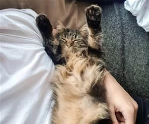 Both_Hands_Up1227_s.webp