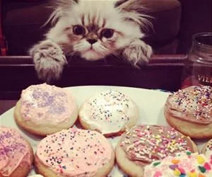 Bought_Some_Donuts_s.webp