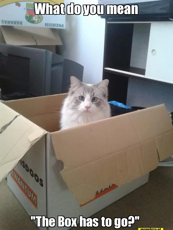 box has to go.webp