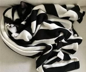 Bundled_Up449_s.webp