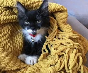 Bundled_Up_In_My_Blanky_s.webp