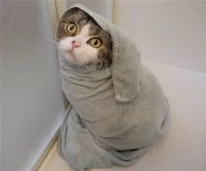 Bundles_Up_Tight_s.webp