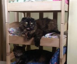 Bunks_Time_s.webp