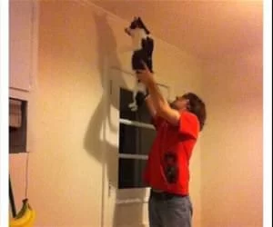 Calling_In_An_Expert4096_s.webp