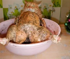Can_I_Have_A_Bite_s.webp