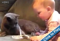 cat-baby-ribbon.webp