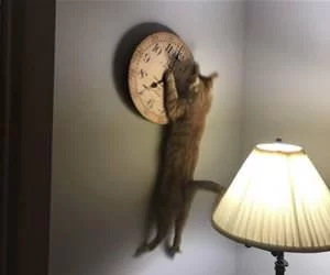 Change_The_Clocks_s.webp