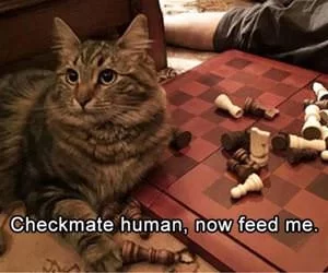 Checkmate_Human_s.webp