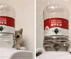 Chill_Behind_The_Water_s.webp