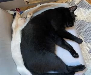 Chill_Together_s.webp