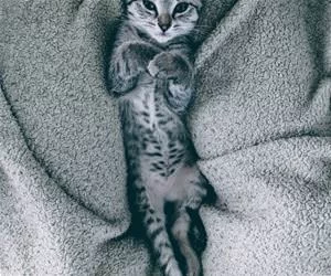 Chillin6231_s.webp