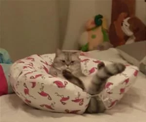Chilling_s.webp