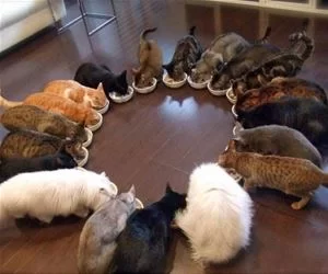 Circle_Time_s.webp